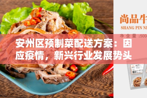 安州区预制菜配送方案：因应疫情，新兴行业发展势头迅猛