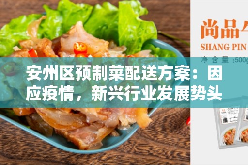 安州区预制菜配送方案：因应疫情，新兴行业发展势头迅猛