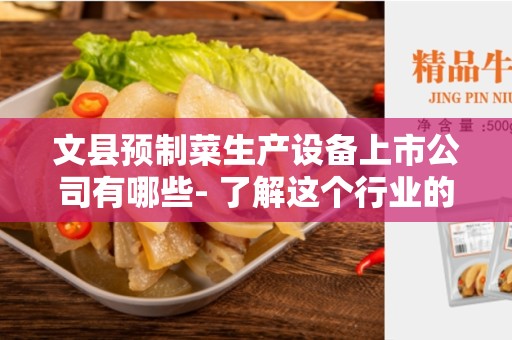文县预制菜生产设备上市公司有哪些- 了解这个行业的领先企业