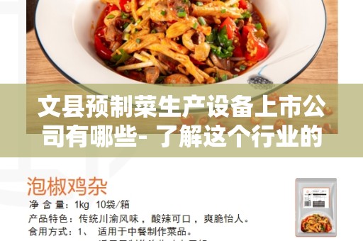 文县预制菜生产设备上市公司有哪些- 了解这个行业的领先企业