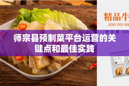 师宗县预制菜平台运营的关键点和最佳实践