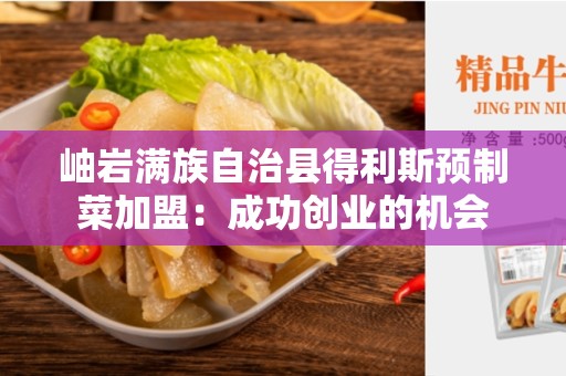 岫岩满族自治县得利斯预制菜加盟：成功创业的机会
