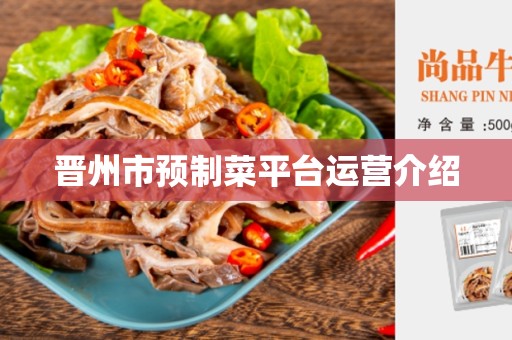 晋州市预制菜平台运营介绍