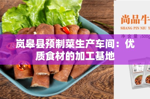 岚皋县预制菜生产车间：优质食材的加工基地