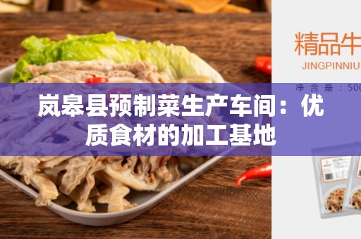岚皋县预制菜生产车间：优质食材的加工基地