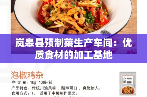 岚皋县预制菜生产车间：优质食材的加工基地