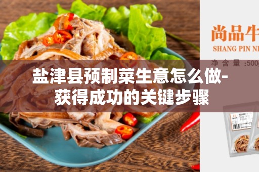 盐津县预制菜生意怎么做- 获得成功的关键步骤