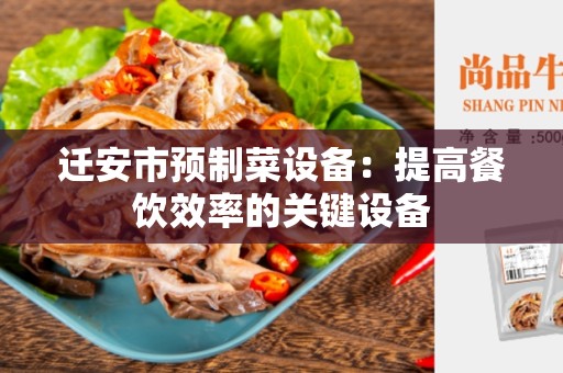迁安市预制菜设备：提高餐饮效率的关键设备