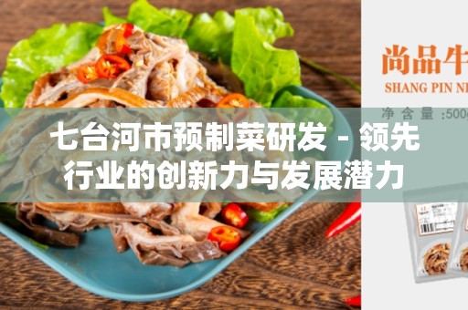 七台河市预制菜研发 - 领先行业的创新力与发展潜力