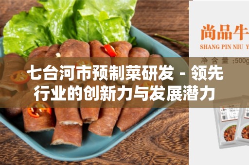 七台河市预制菜研发 - 领先行业的创新力与发展潜力