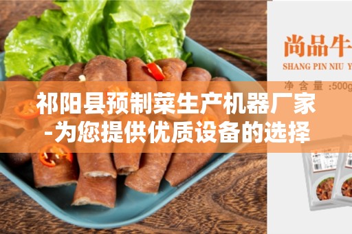 祁阳县预制菜生产机器厂家-为您提供优质设备的选择