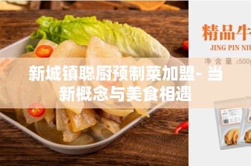 新城镇聪厨预制菜加盟- 当新概念与美食相遇