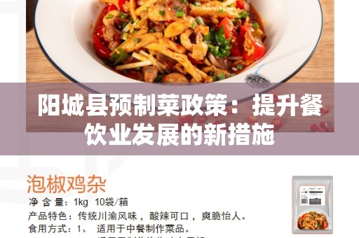 阳城县预制菜政策：提升餐饮业发展的新措施