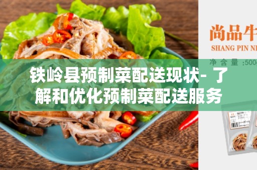 铁岭县预制菜配送现状- 了解和优化预制菜配送服务