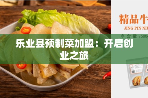 乐业县预制菜加盟：开启创业之旅
