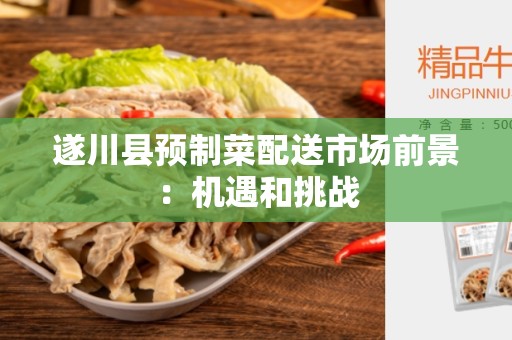 遂川县预制菜配送市场前景：机遇和挑战
