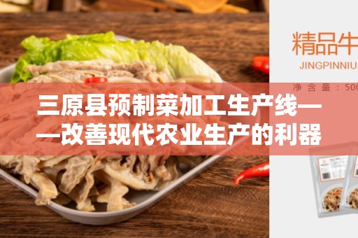 三原县预制菜加工生产线——改善现代农业生产的利器