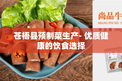 苍梧县预制菜生产- 优质健康的饮食选择