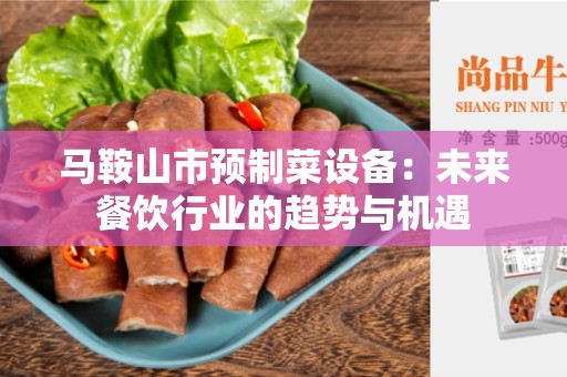 马鞍山市预制菜设备：未来餐饮行业的趋势与机遇