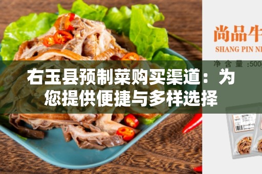 右玉县预制菜购买渠道：为您提供便捷与多样选择