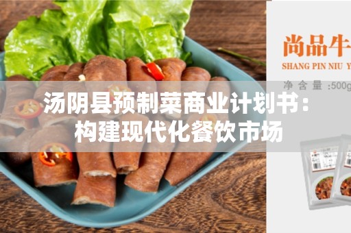 汤阴县预制菜商业计划书： 构建现代化餐饮市场