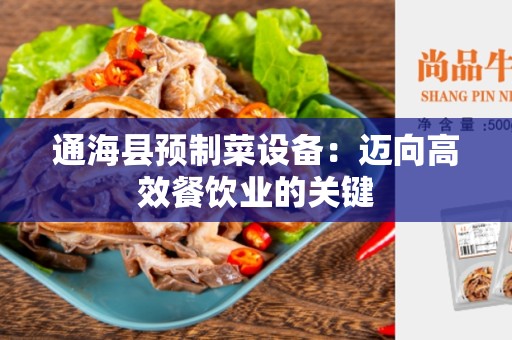 通海县预制菜设备：迈向高效餐饮业的关键