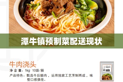 潭牛镇预制菜配送现状