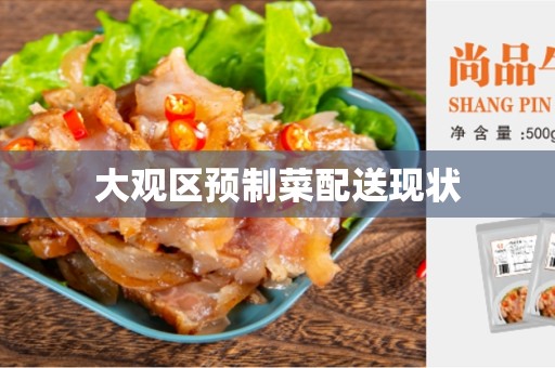 大观区预制菜配送现状