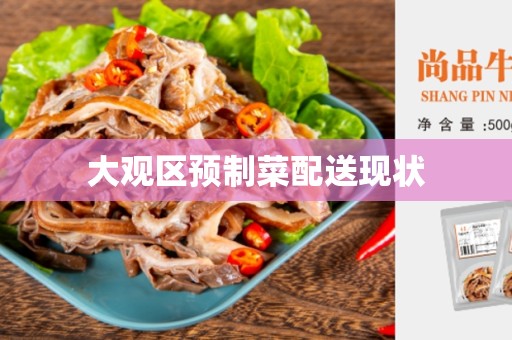 大观区预制菜配送现状