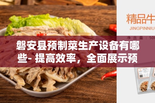 磐安县预制菜生产设备有哪些- 提高效率，全面展示预制菜生产设备