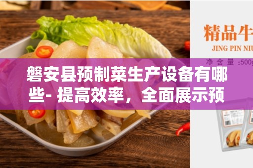 磐安县预制菜生产设备有哪些- 提高效率，全面展示预制菜生产设备