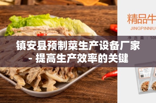 镇安县预制菜生产设备厂家- 提高生产效率的关键