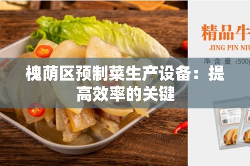 槐荫区预制菜生产设备：提高效率的关键