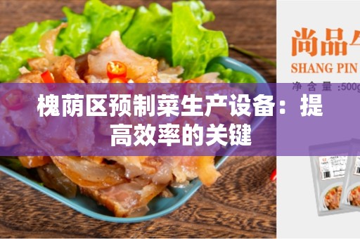 槐荫区预制菜生产设备：提高效率的关键