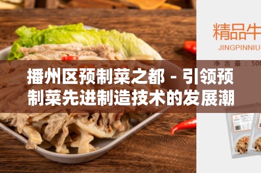 播州区预制菜之都 - 引领预制菜先进制造技术的发展潮流