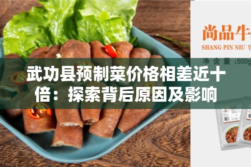 武功县预制菜价格相差近十倍：探索背后原因及影响