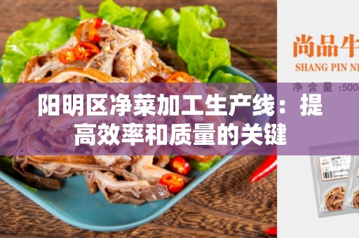 阳明区净菜加工生产线：提高效率和质量的关键