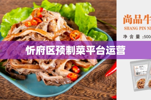 忻府区预制菜平台运营