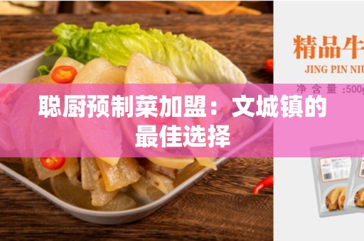 聪厨预制菜加盟：文城镇的最佳选择