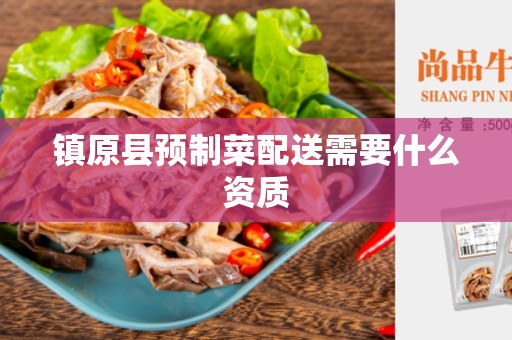 镇原县预制菜配送需要什么资质