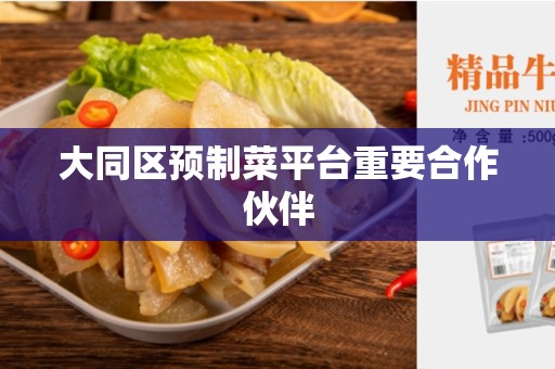 大同区预制菜平台重要合作伙伴