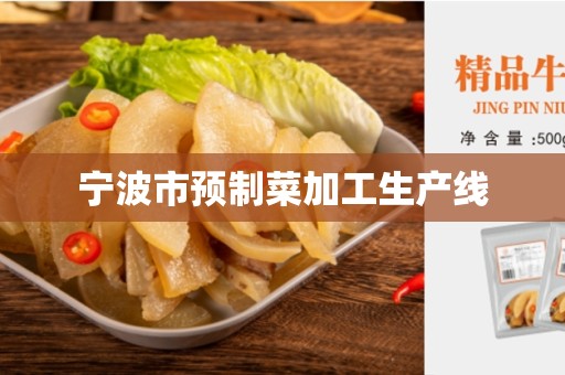 宁波市预制菜加工生产线