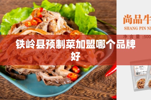 铁岭县预制菜加盟哪个品牌好