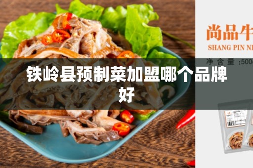 铁岭县预制菜加盟哪个品牌好