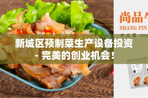 新城区预制菜生产设备投资- 完美的创业机会！