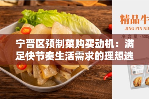 宁晋区预制菜购买动机：满足快节奏生活需求的理想选择