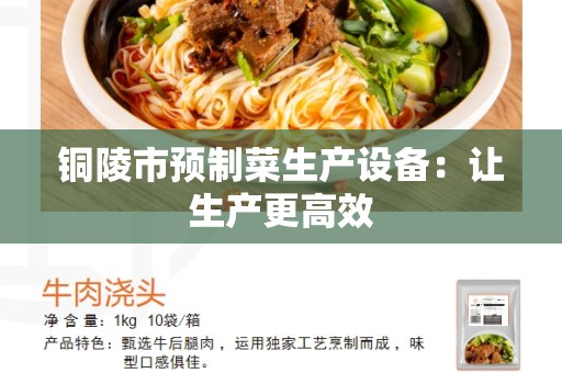 铜陵市预制菜生产设备：让生产更高效