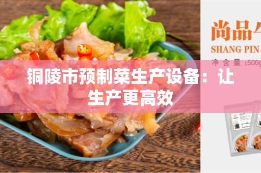 铜陵市预制菜生产设备：让生产更高效