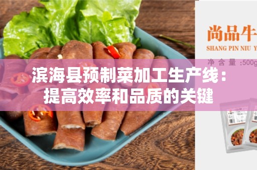 滨海县预制菜加工生产线：提高效率和品质的关键