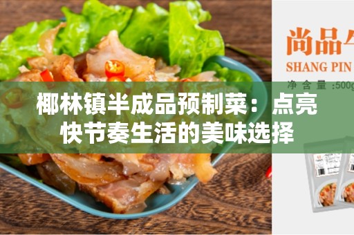 椰林镇半成品预制菜：点亮快节奏生活的美味选择